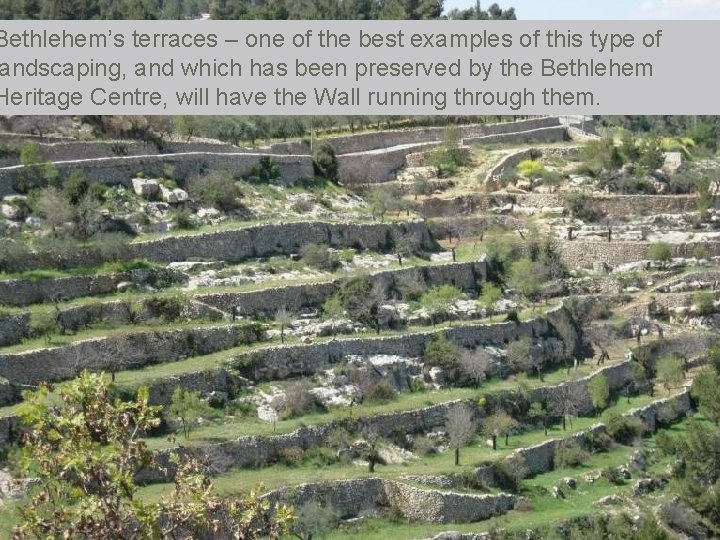 Bethlehem’s terraces – one of the best examples of this type of andscaping, and