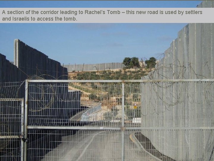 A section of the corridor leading to Rachel’s Tomb – this new road is