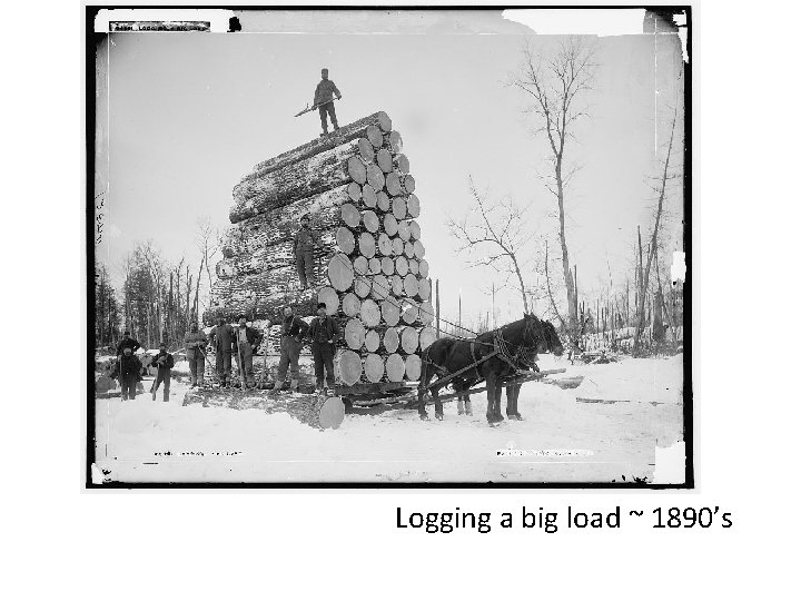 Logging a big load ~ 1890’s 