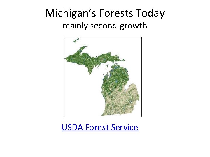 Michigan’s Forests Today mainly second-growth USDA Forest Service 
