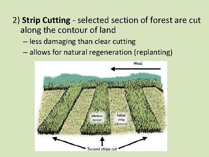2) Strip Cutting - selected section of forest are cut along the contour of