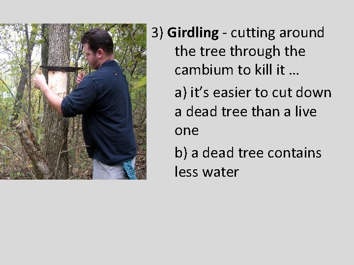 3) Girdling - cutting around the tree through the cambium to kill it …