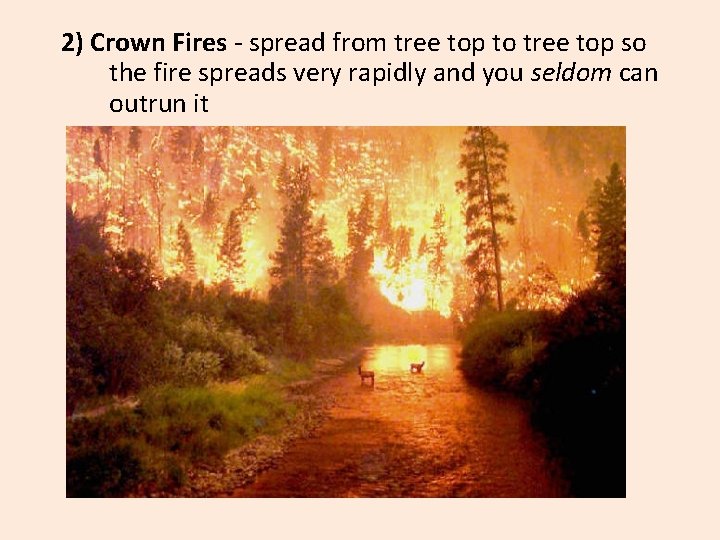 2) Crown Fires - spread from tree top to tree top so the fire
