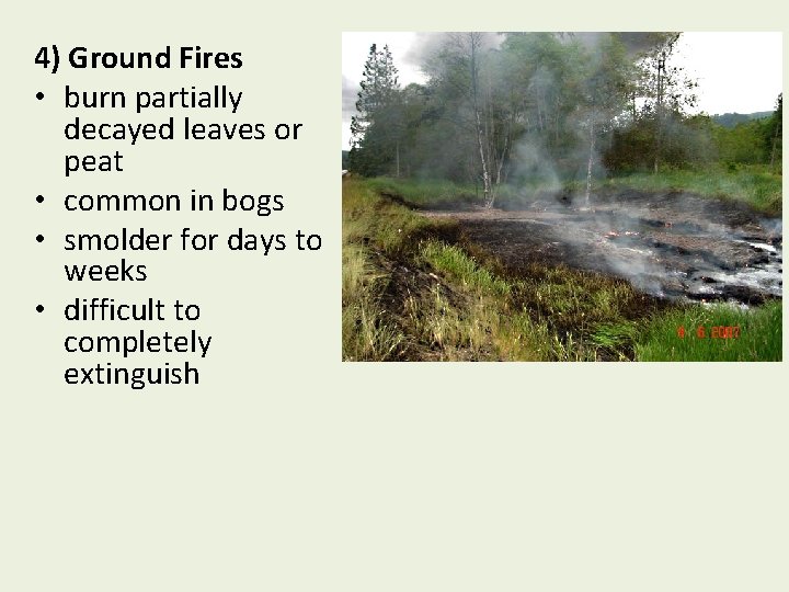 4) Ground Fires • burn partially decayed leaves or peat • common in bogs