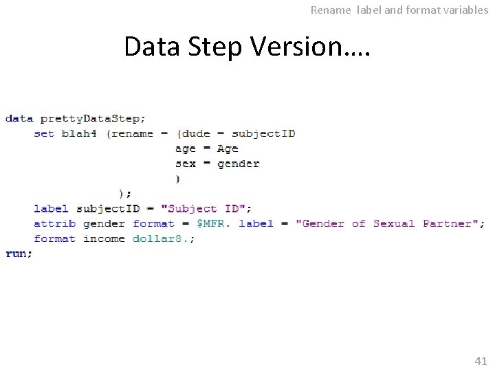 Rename label and format variables Data Step Version…. 41 