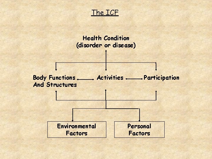 The ICF Health Condition (disorder or disease) Body Functions And Structures Environmental Factors Activities