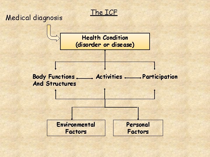 The ICF Medical diagnosis Health Condition (disorder or disease) Body Functions And Structures Environmental