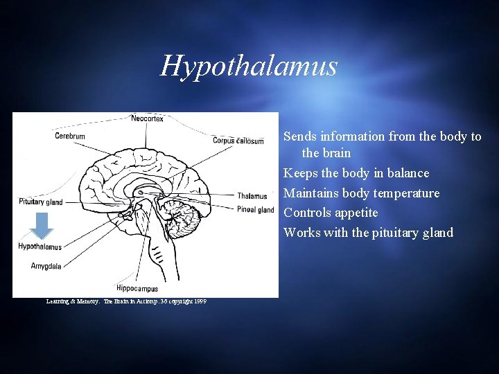 Hypothalamus Sends information from the body to the brain Keeps the body in balance