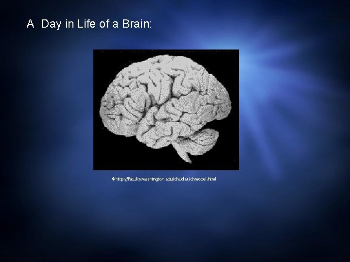 A Day in Life of a Brain: http: //faculty. washington. edu/chudler/chmodel. html 