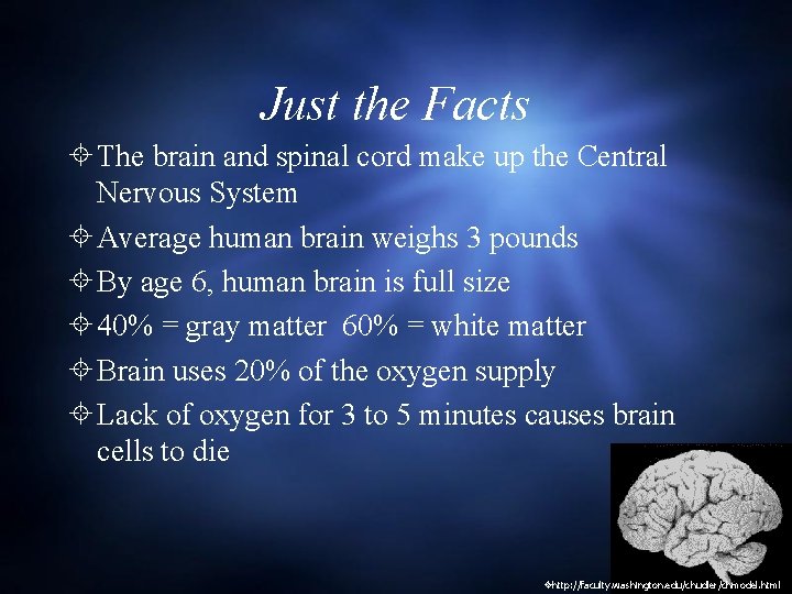 Just the Facts The brain and spinal cord make up the Central Nervous System