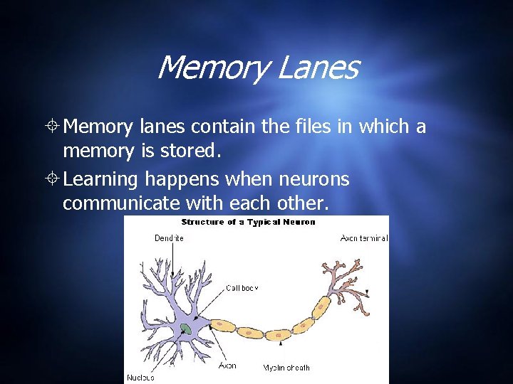 Memory Lanes Memory lanes contain the files in which a memory is stored. Learning