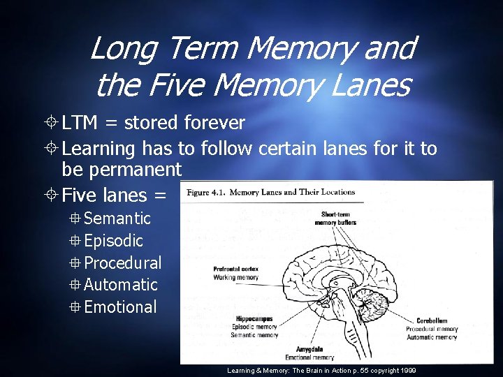 Long Term Memory and the Five Memory Lanes LTM = stored forever Learning has