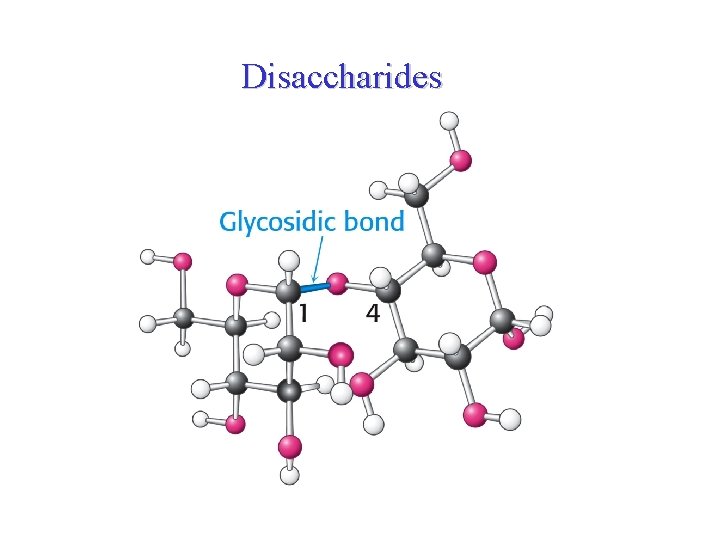 Disaccharides 