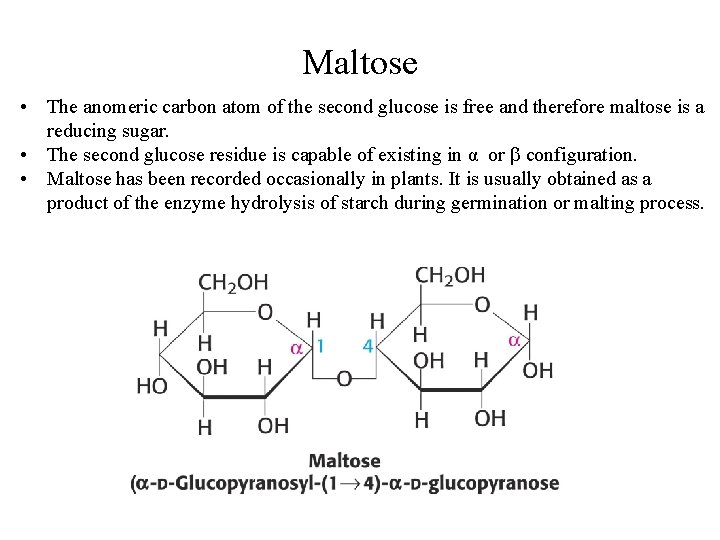Maltose • The anomeric carbon atom of the second glucose is free and therefore