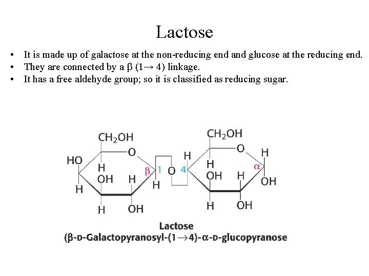 Lactose • It is made up of galactose at the non-reducing end and glucose