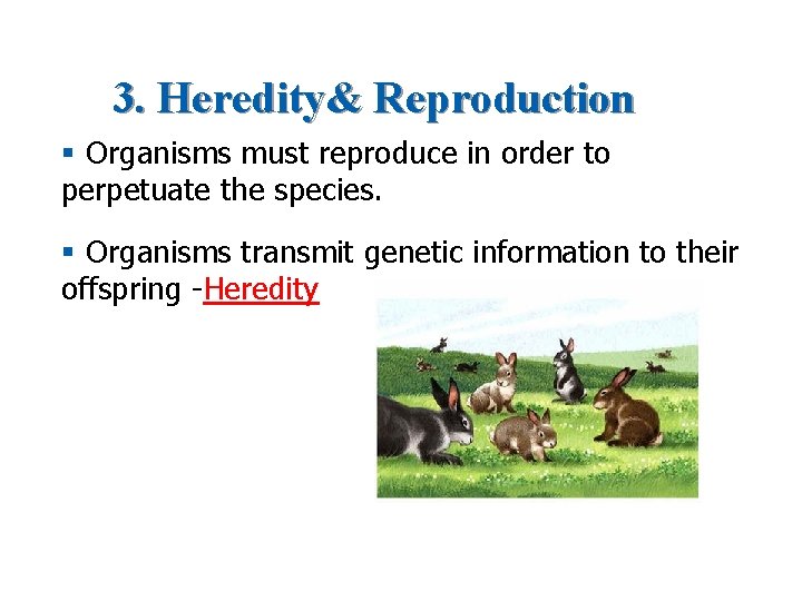 3. Heredity& Reproduction § Organisms must reproduce in order to perpetuate the species. §