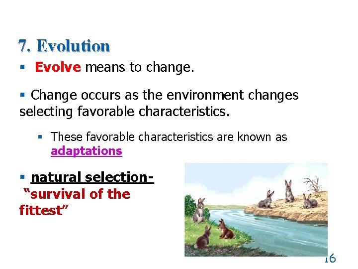 7. Evolution § Evolve means to change. § Change occurs as the environment changes