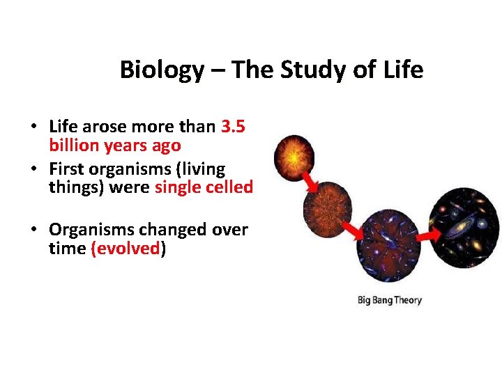 Biology – The Study of Life • Life arose more than 3. 5 billion