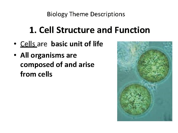 Biology Theme Descriptions 1. Cell Structure and Function • Cells are basic unit of