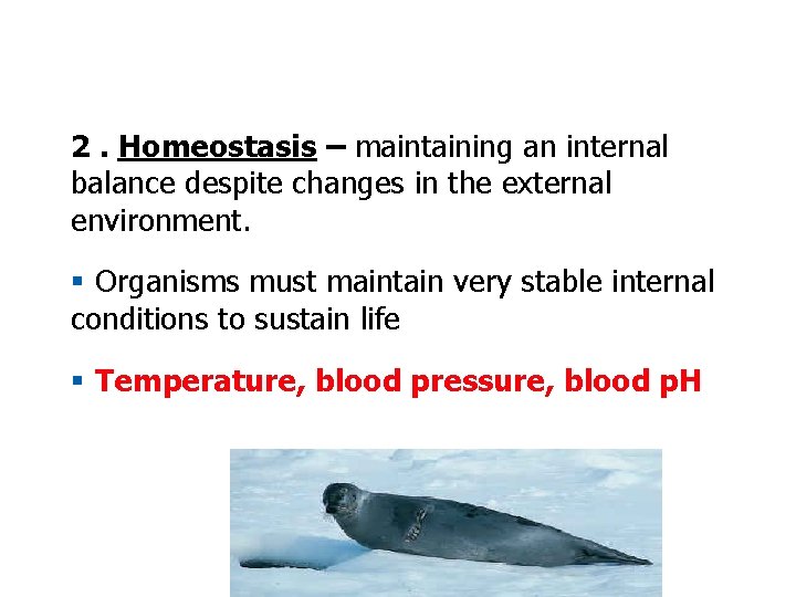 2. Homeostasis – maintaining an internal balance despite changes in the external environment. §