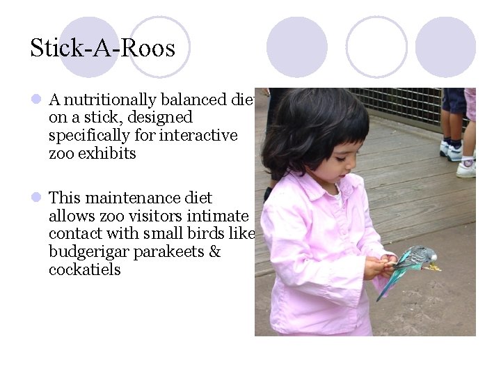 Stick-A-Roos l A nutritionally balanced diet on a stick, designed specifically for interactive zoo