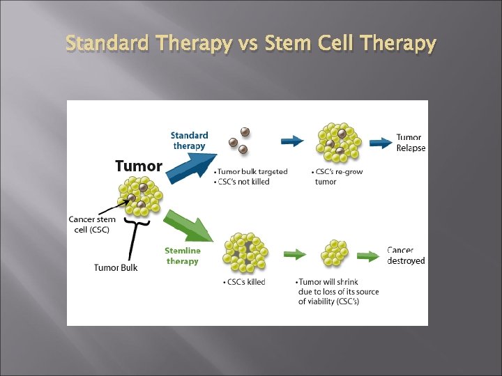 Standard Therapy vs Stem Cell Therapy 