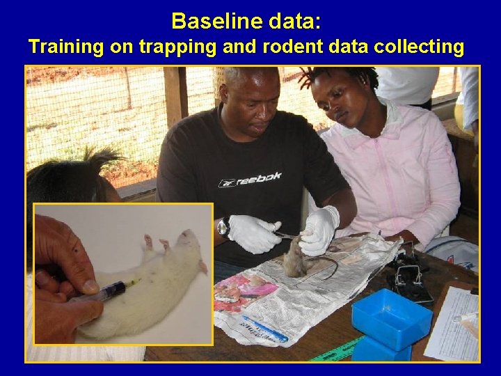 Baseline data: Training on trapping and rodent data collecting 