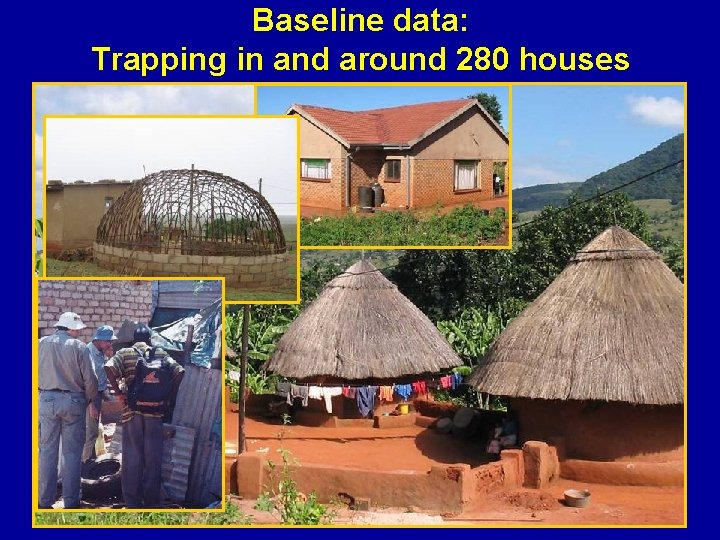Baseline data: Trapping in and around 280 houses 