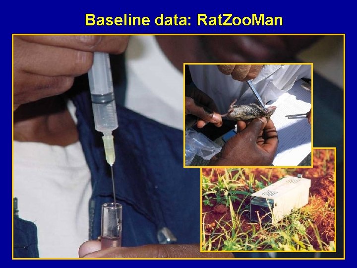 Baseline data: Rat. Zoo. Man 