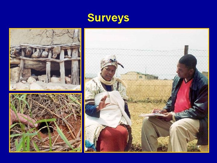 Surveys 