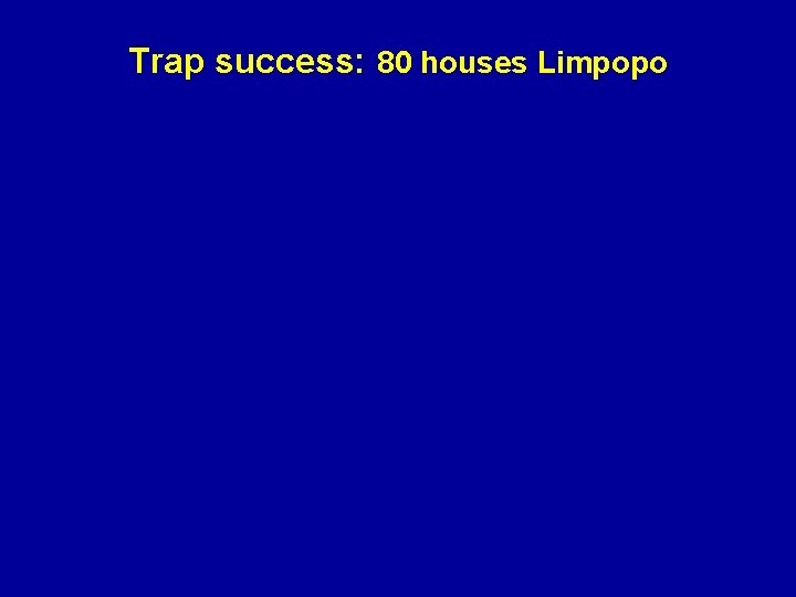 Trap success: 80 houses Limpopo 
