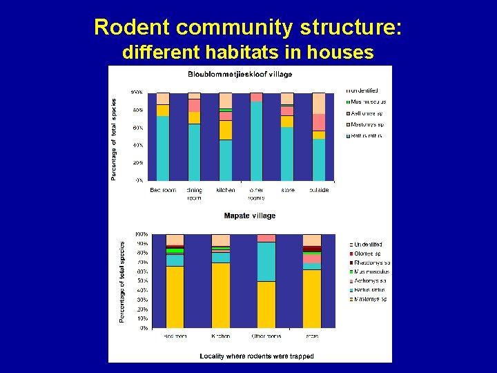 Rodent community structure: different habitats in houses 