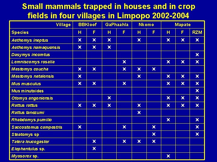 Small mammals trapped in houses and in crop fields in four villages in Limpopo
