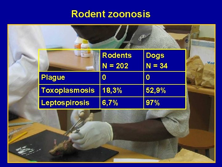Rodent zoonosis Plague Rodents N = 202 Dogs N = 34 0 0 Toxoplasmosis