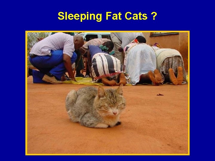 Sleeping Fat Cats ? 