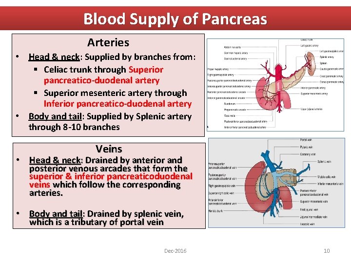 Blood Supply of Pancreas Arteries • Head & neck: Supplied by branches from: §