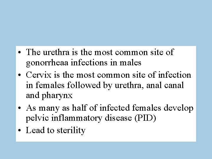  • The urethra is the most common site of gonorrheaa infections in males