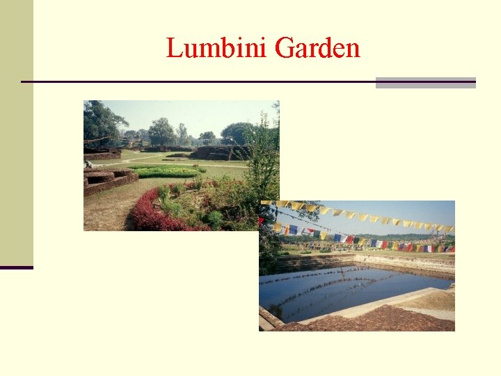 Lumbini Garden 