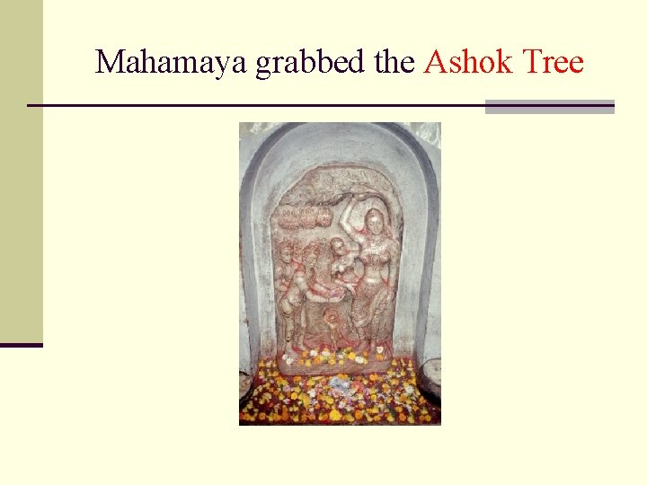 Mahamaya grabbed the Ashok Tree 