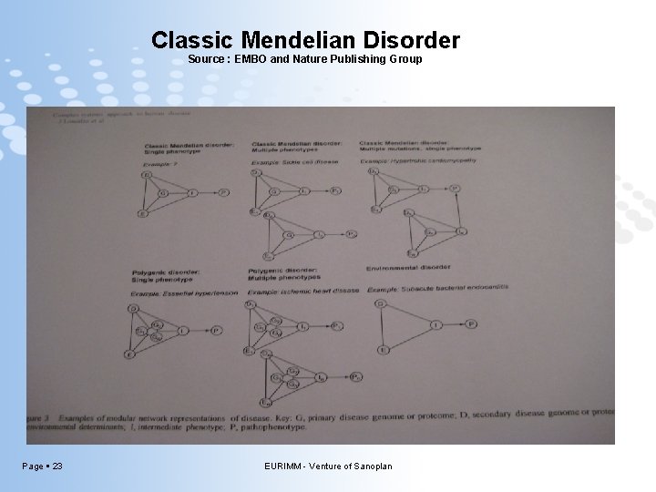 Classic Mendelian Disorder Source : EMBO and Nature Publishing Group Page 23 EURIMM -