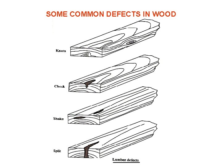 SOME COMMON DEFECTS IN WOOD 