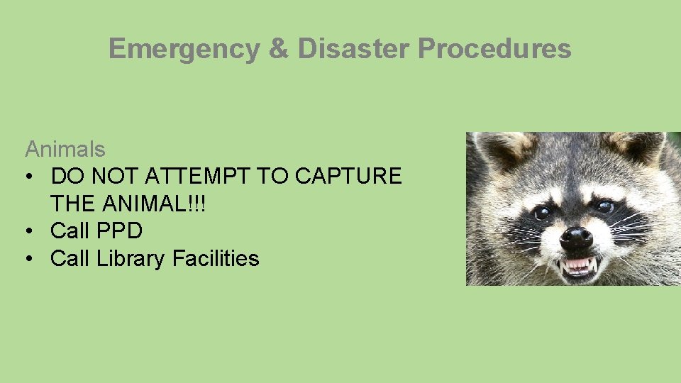 Emergency & Disaster Procedures Animals • DO NOT ATTEMPT TO CAPTURE THE ANIMAL!!! •