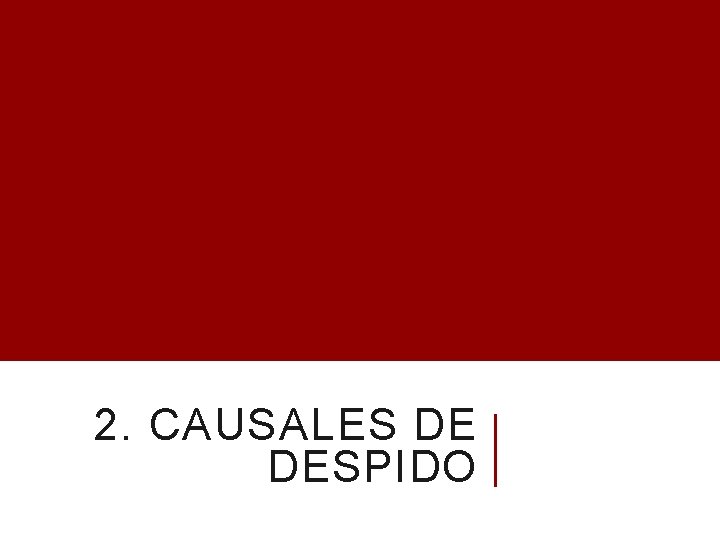 2. CAUSALES DE DESPIDO 