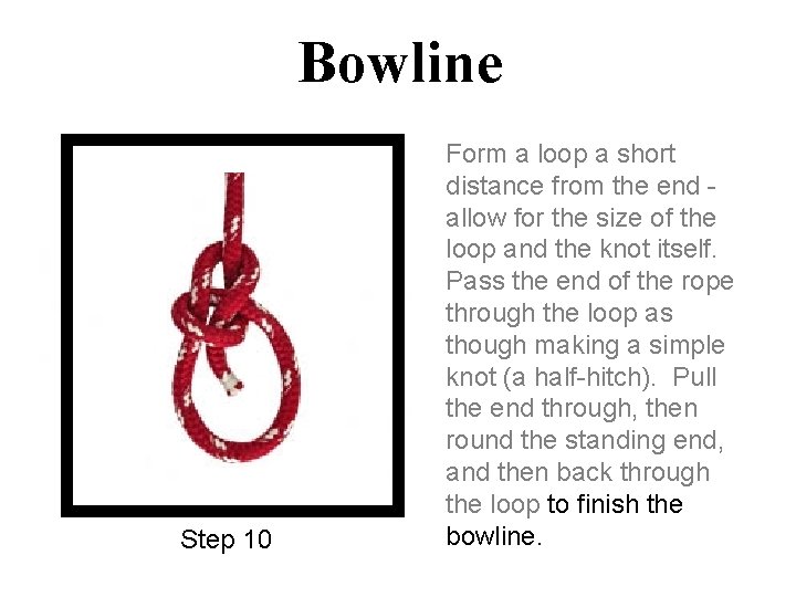 Bowline Step 10 Form a loop a short distance from the end allow for