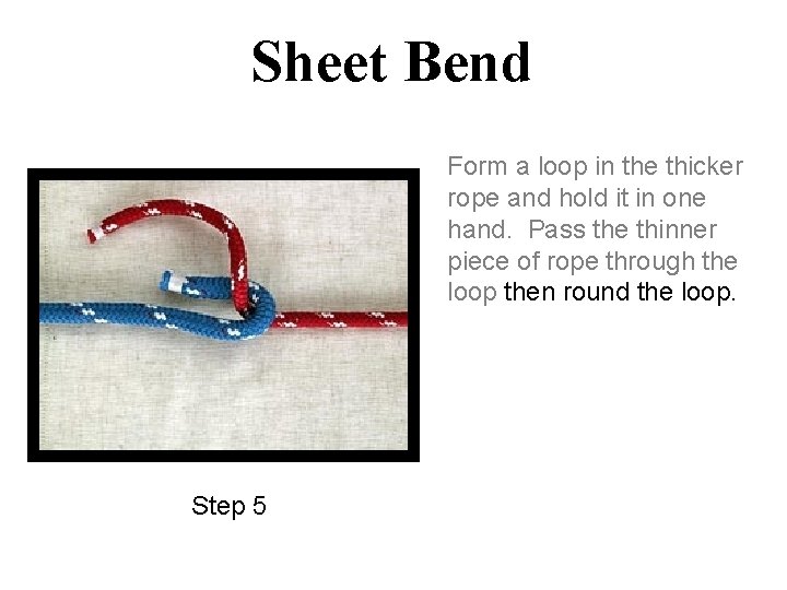 Sheet Bend Form a loop in the thicker rope and hold it in one