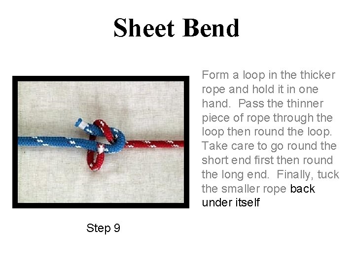 Sheet Bend Form a loop in the thicker rope and hold it in one