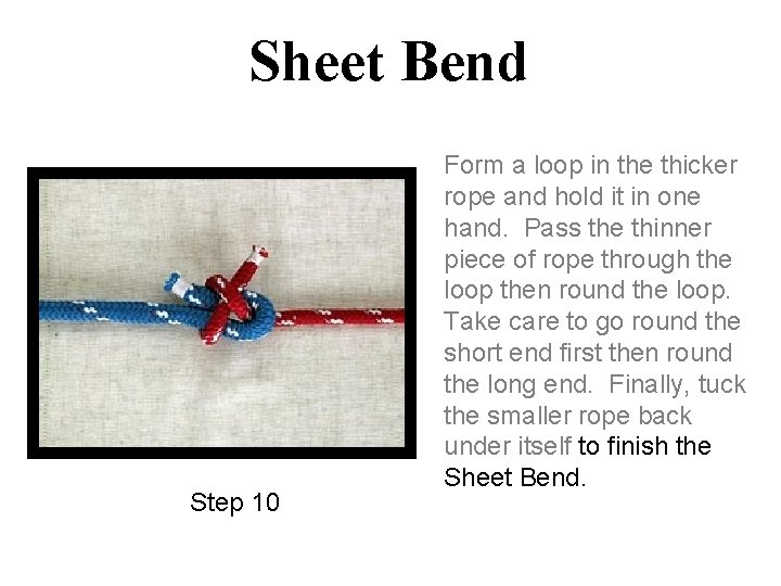 Sheet Bend Step 10 Form a loop in the thicker rope and hold it