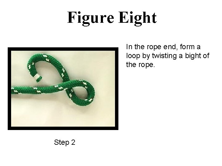 Figure Eight In the rope end, form a loop by twisting a bight of