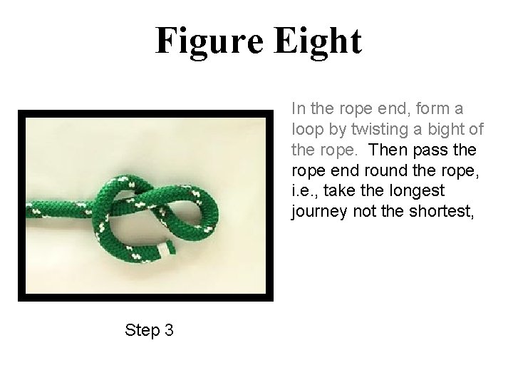 Figure Eight In the rope end, form a loop by twisting a bight of