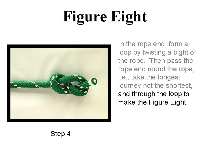 Figure Eight In the rope end, form a loop by twisting a bight of